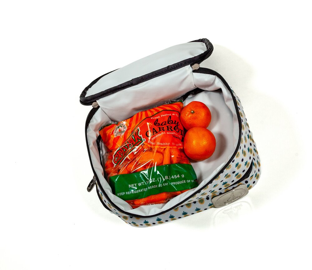 Key West Lunch Tote/Cosmetic Bag